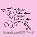 シュガーエッグひよこ(黄色ちょうボタン)