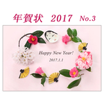 2017年賀状-3  お正月のフレーム　　同デザイン11枚セット