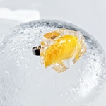 みかんの冷やし水飴リング