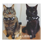 肉球柄シュシュタイプ猫ちゃんの首輪