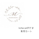 ˚*koharuk09さま𓂃𓈒𓏸𓈒専用カート𓏸𑁍