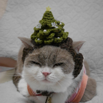 🎄クリスマスツリー