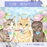 M様専用ページ