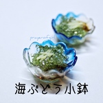 海ぶどう