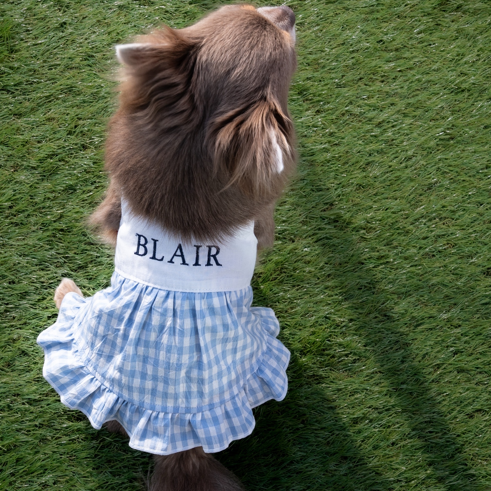 名入れ刺繍】スカイブルー キャミソールワンピース 犬服 小型犬服