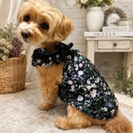 犬服 ボタニカルワンピース