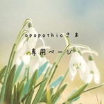 opopothioさま専用購入ページ𖧷
