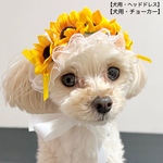【犬用】犬ヘッドドレス　オレンジ　犬チョーカー　犬リボン　犬ひまわり　犬向日葵