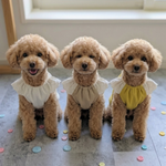  ダブルガーゼとレースのチュニック　
　(ピスタチオグリーン)
✂️オーダー制作です
