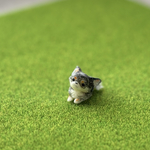 チワワ（ちっちゃいけど犬だよっ）ブルーマール