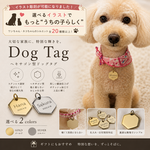 迷子札 犬用  ドックタグ ヘキサゴン 両面鏡面 ステンレス ネームタグ 高級 首輪用 名入れ ドッグタグ ｜ ペット用 ネームプレート  名札 名前入り 電話番号 キーホルダー チャーム ストラップ