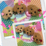 momo-mico様 犬わんこ羊毛フェルトストラップ