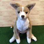 g様愛犬ちゃんオーダーメイド品(スムースコートチワワ) 縫いぐるみ　40センチ