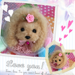 citrine様 犬 わんこ羊毛フェルトストラップ