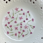 ピンクの小花（押し花)