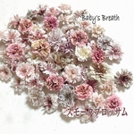 高品質❣️かすみ草ドライフラワー スモークブロッサムcolor 60粒～／レジン封入などに 小花アクセサリーガラスドームなどに