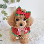 【🍉スイカ柄リボン＆ケープセット🍉※ケープ丈7cm】犬用・猫用｜蝶ネクタイ・ヘアアクセサリー・記念日フォトに