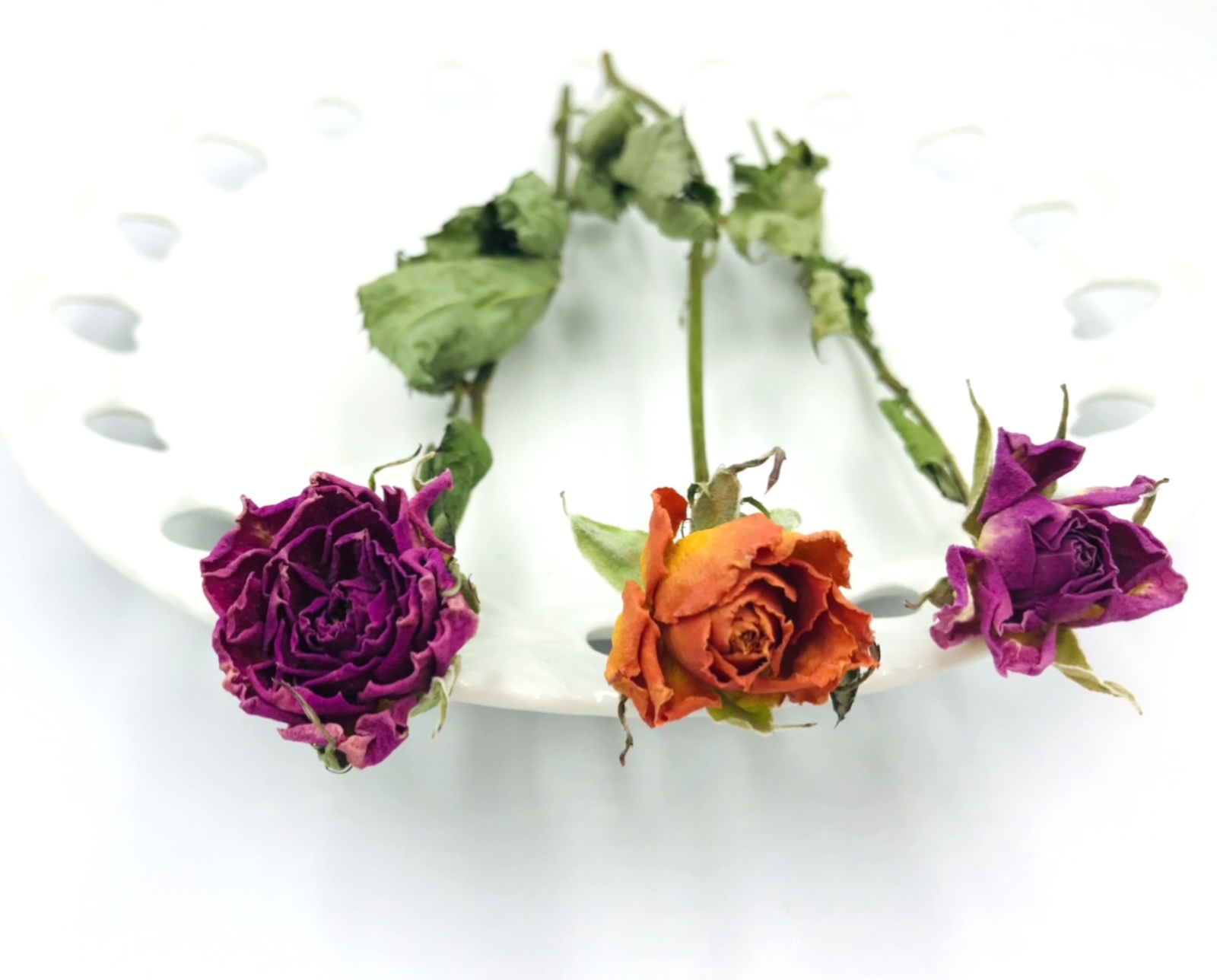 NeiroᎢʱᵃⁿᵏ Ꮍ༠ᐡ❀ᴗ͈ˬᴗ͈出品　リース土台 New - Ceramic Serving Dish — Japanese Cultural & Community Center