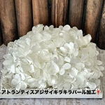 ハイクオリティ❣️アトランティスアジサイキラキラパール加工小分け❣️ハンドメイド花材プリザーブドフラワー