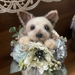 クロちゃんママさん専用