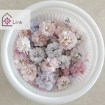 ☆新色☆　M14★スィートミックス★　かすみ草　ドライフラワー　桃色　ピンク　パープル　くすみカラー　小花　レジン花材