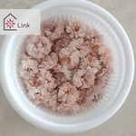 【New！】05★ダスティピンク★　かすみ草　ドライフラワー　グレージュ　桃　ピンク　モーブ　くすみカラー　小花　レジン花材