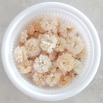 K20)★イエローベージュ★　かすみ草　ドライフラワー　クリーム　黄色　ベージュ　小花　レジン花材　カスミソウ