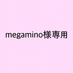 megamino様専用ページになります