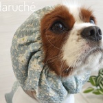 ❁犬用　NEWスヌード❁　くすみブルーム