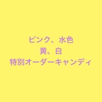 特別オーダー品