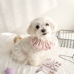 《 犬 猫用 》　メロウつけ襟　アイレットニット　ケープ　スタイ　メロウビブ　誕生日　バースデー