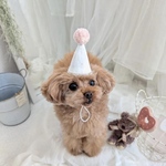 《ミニサイズ》 ポンポンパーティーハット　犬　猫　ぬいぐるみ