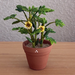 野菜シリーズ　オクラ
