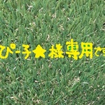 ぴー子★様ご注文品
