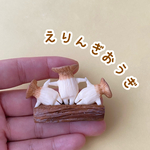 えりんぎおうぎの置物