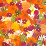 new♡作家様必見♡押し花MIXセット♡押し花セット