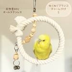 安全で安心《ぬくぬくブランコ/チャーム付き New》Ｓサイズ𓂃♡鳥ブランコ インコブランコ