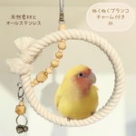 安全で安心《ぬくぬくブランコ/チャーム付き》Mサイズ𓂃♡鳥ブランコ インコブランコ
