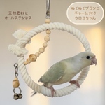 安全で安心《ぬくぬくブランコ/チャーム付き》Sサイズ𓂃♡鳥ブランコ インコブランコ