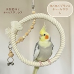 安全で安心《ぬくぬくブランコ/チャーム付き》Lサイズ𓂃♡鳥ブランコ インコブランコ