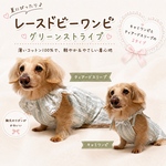 犬服★ レースドビーワンピ　ダックス　チワワ　小型犬