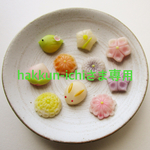 hakkun-ichi様専用