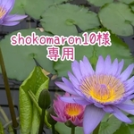 shokomaron10様オーダー服