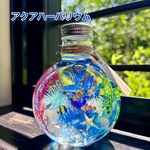 熱帯魚ハーバリウム  ネコ瓶  Mサイズ   【注文制作】