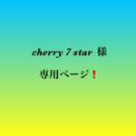 『cherry 7 star 』様 専用ページ❗️天然石ブレスレット②本セット💫