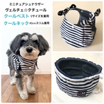 🛒シュナくん