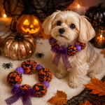 🎃ハロウィンポンポンチョーカー🎃 チョーカー 首飾り アクセサリー イベント 写真撮影 犬 猫
