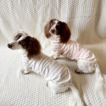 犬服　シンプルボーダーパーカー