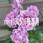 mira180526様専用品
