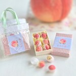 ミニチュア ももの香の贈り物  ☆ new  ( 透明バッグ付き )【再販】